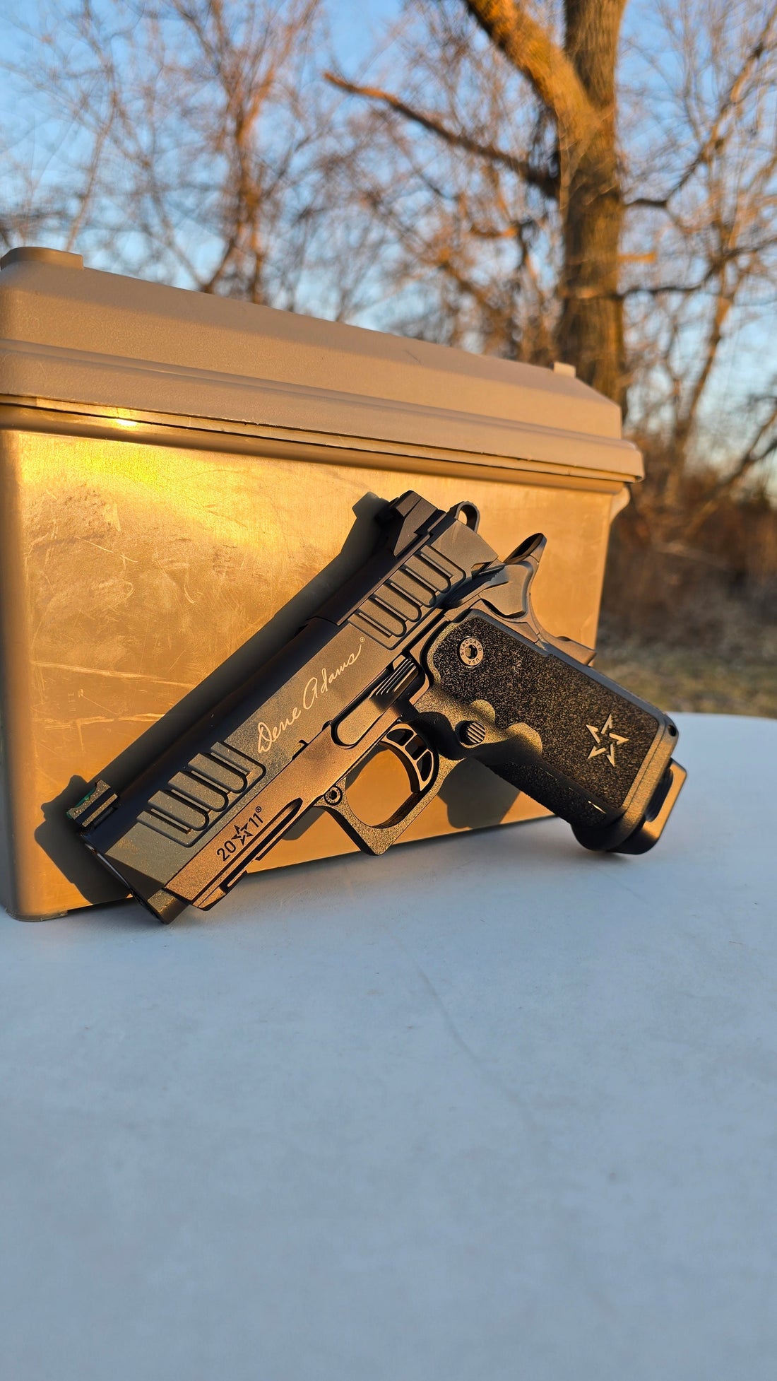 Best Concealed Carry Handguns for Women in 2025